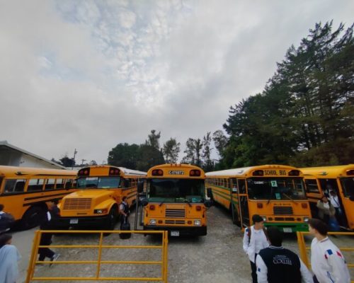 buses2