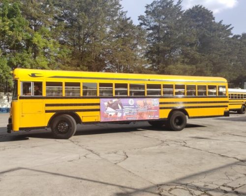 buses3